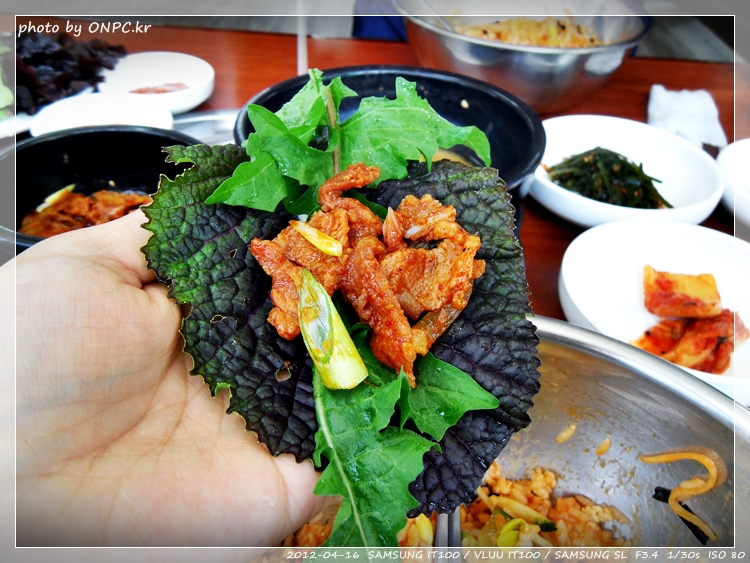 [보양식특집] 기러기 칼국수와 백숙, 푸짐한 점심특선