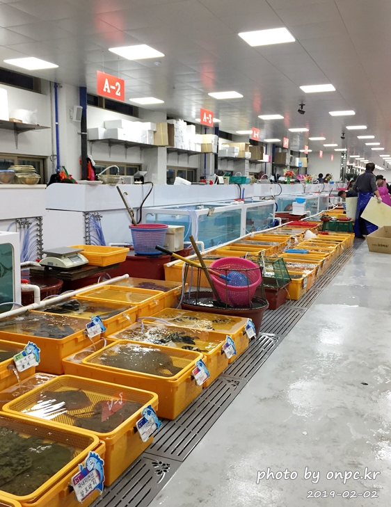 울산 정자활어직매장