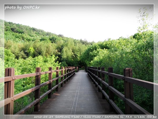 울산12경 반구대암각화 - 울산 12경으로 국보 285호인 반구대암각화. 울산12경 반구대암각화