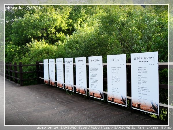 울산12경 반구대암각화 - 울산 12경으로 국보 285호인 반구대암각화. 울산12경 반구대암각화