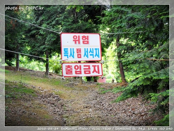 울산12경 반구대암각화 - 울산 12경으로 국보 285호인 반구대암각화. 울산12경 반구대암각화