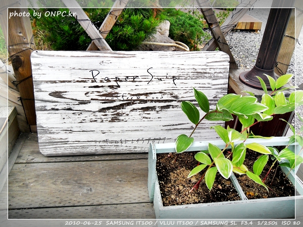 이쁜집 - 페이퍼 숲