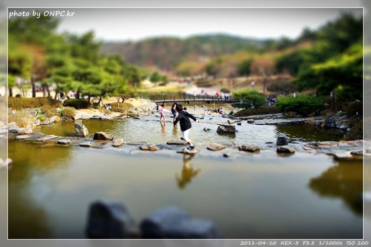 봄나들이