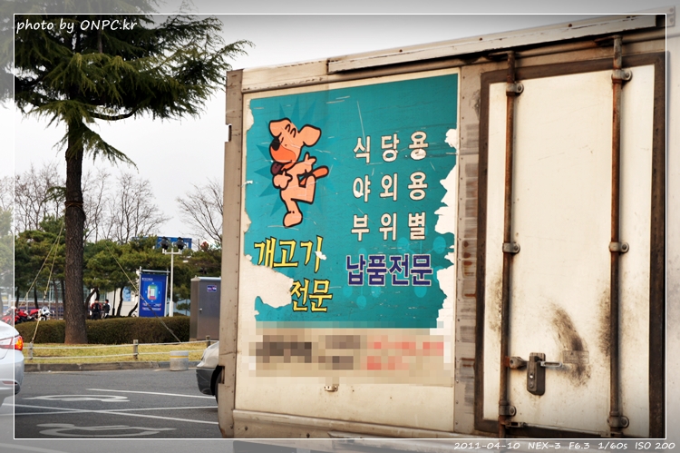 봄나들이