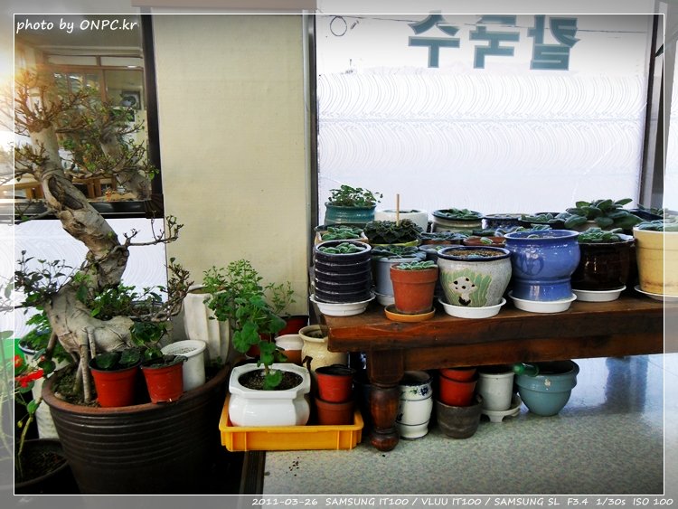 장마의 시작 비오는날은 비학산 생칼국수 먹으러 가봐요 - 체인점으로 여러 동네 마다 있는 비학산 생칼국수지만 지점마다 맛은 틀리니 한번 먹으러 가볼까요? 장마의 시작 비오는날은 비학산 생칼국수 먹으러 가봐요