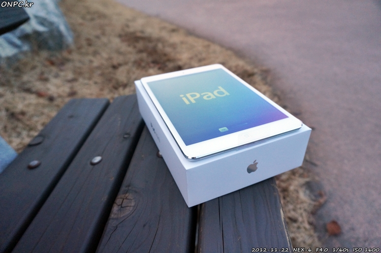 아이패드 미니
