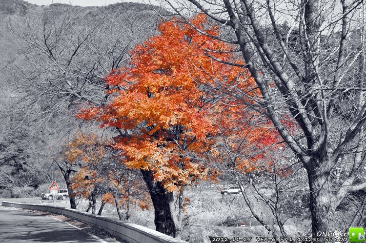 경주 풍력발전단지, 감은사지 - 실력도 없지만 카메라 새로 구입해서 사진 몇 장 찍으러 드라이브하고 왔어요. 경주 풍력발전단지, 감은사지