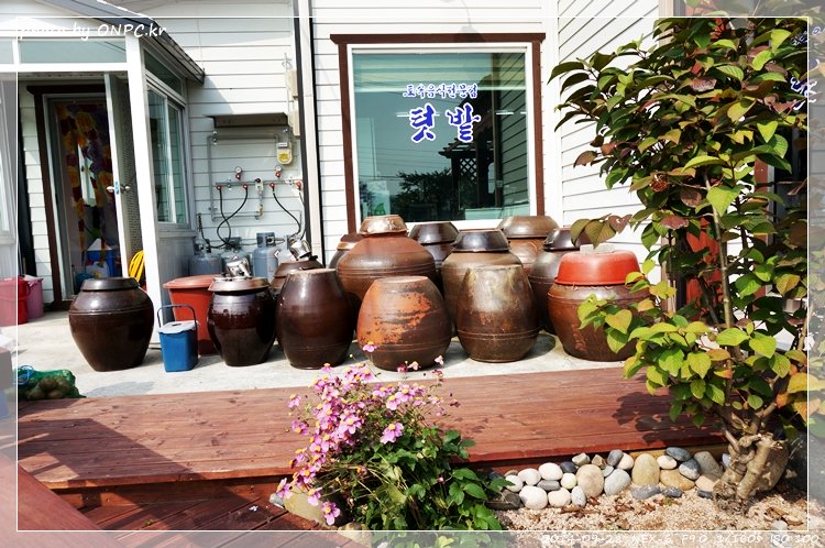 건강한 밥상 토속 음식 전문 - 텃밭