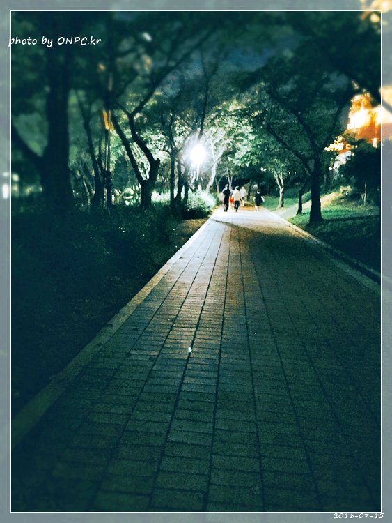 경주보문호 산책로