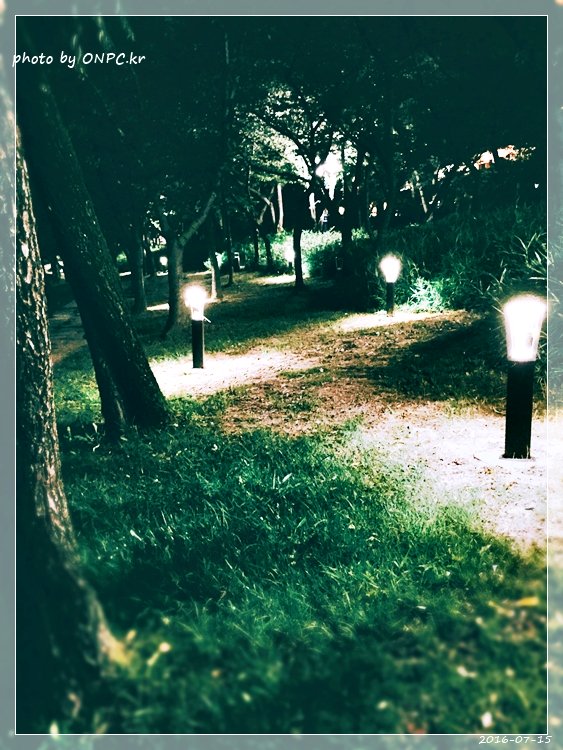 경주보문호 산책로