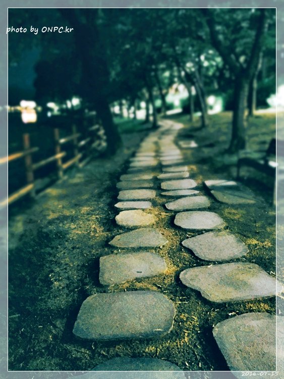 경주보문호 산책로