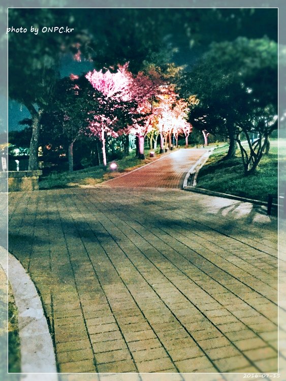 경주보문호 산책로