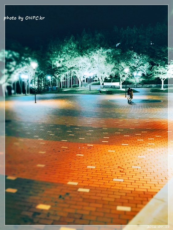 경주보문호 산책로