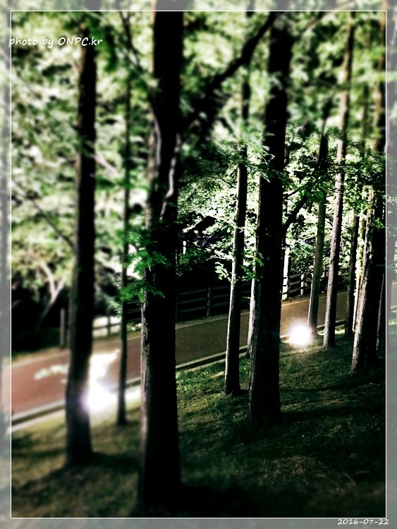 경주보문호 산책로