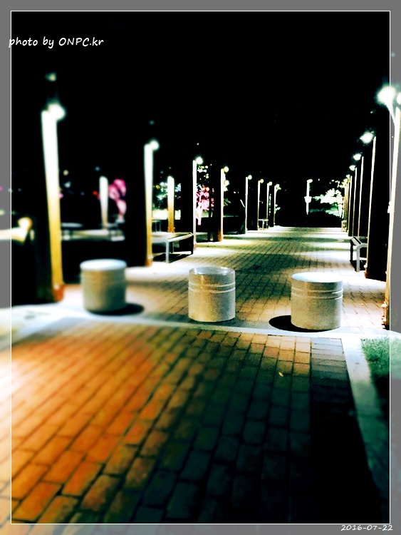 경주보문호 산책로