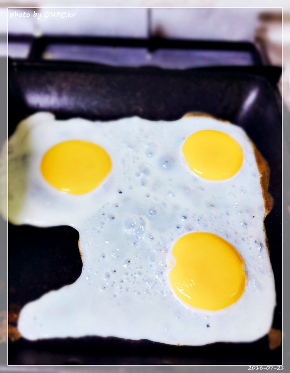 코스트코의 곤드레나물밥