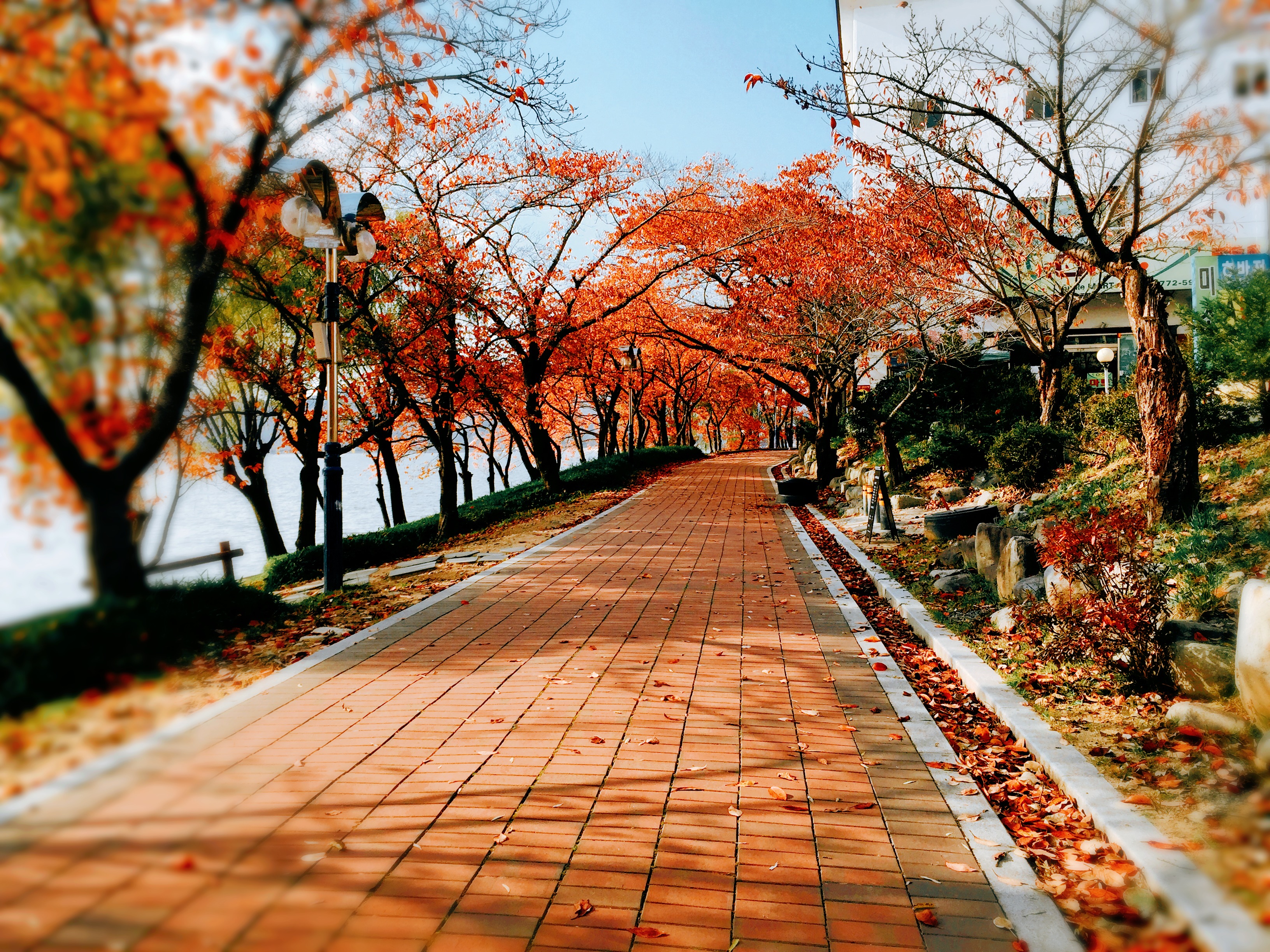경주나들이 보문호 산책길