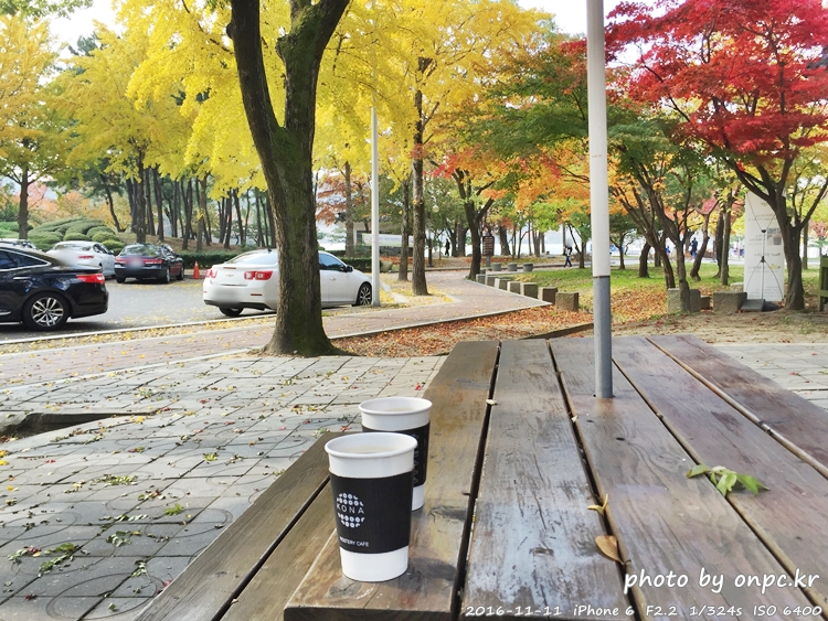 경주나들이 보문호 산책길