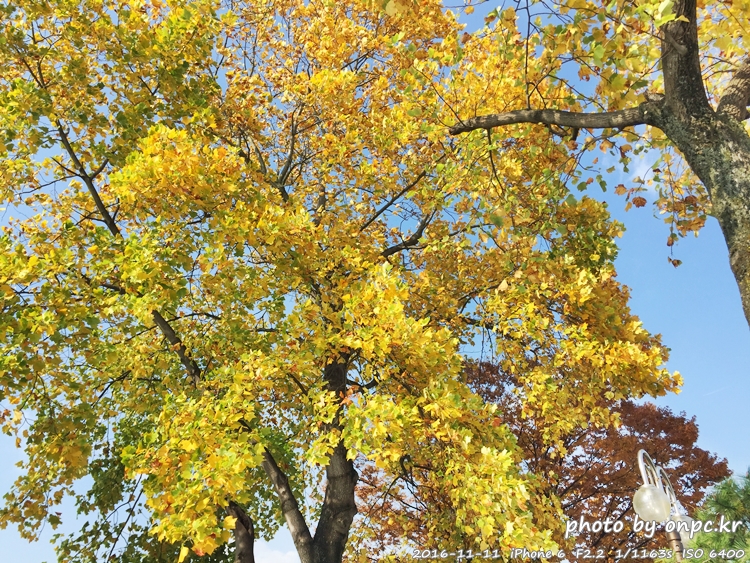 경주나들이 보문호 산책길
