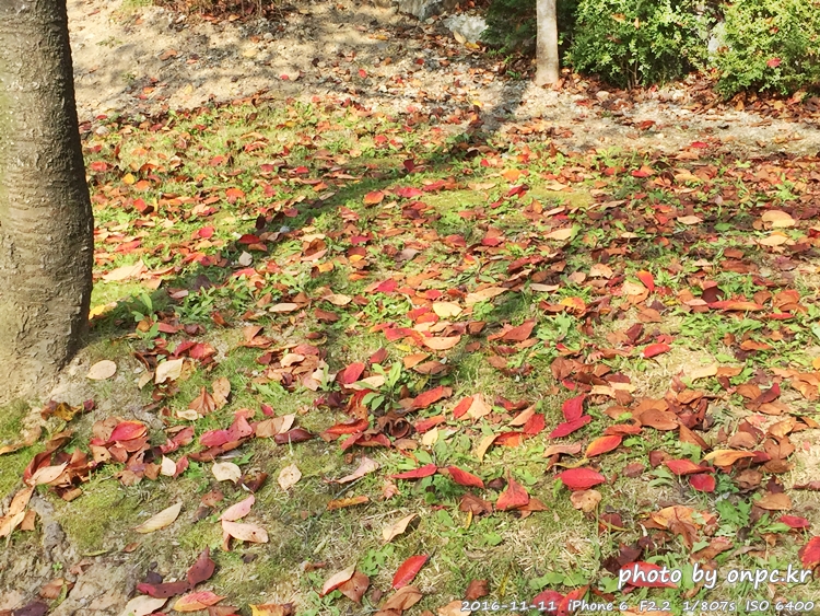 경주나들이 보문호 산책길