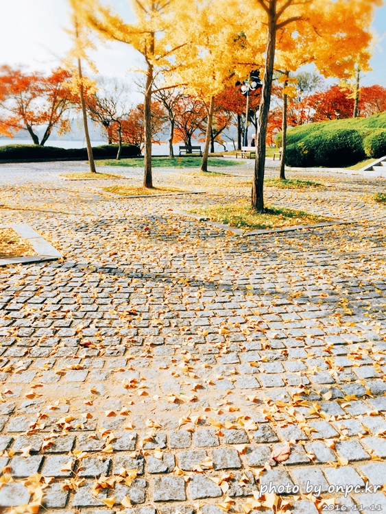 경주나들이 보문호 산책길
