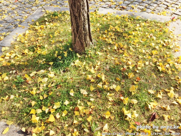 경주나들이 보문호 산책길