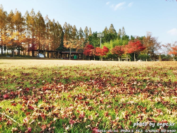 경주나들이 보문호 산책길