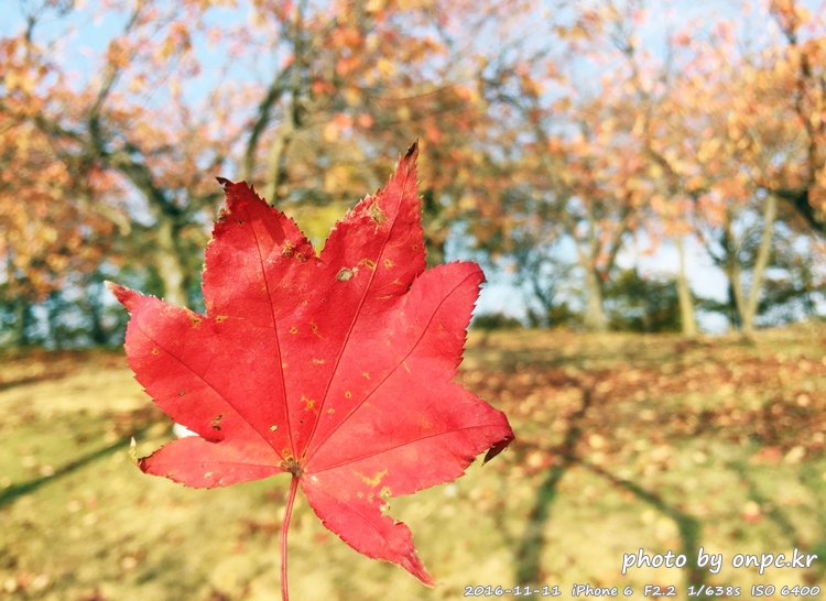 경주나들이 보문호 산책길
