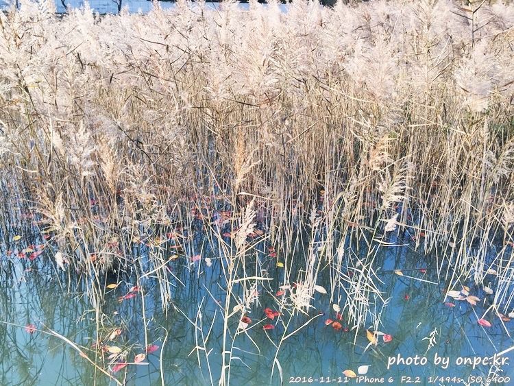 경주나들이 보문호 산책길