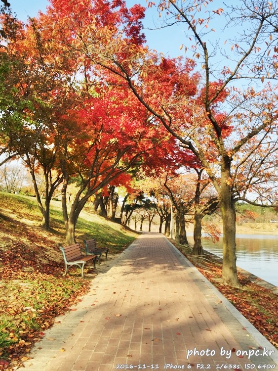 경주나들이 보문호 산책길 가을단풍