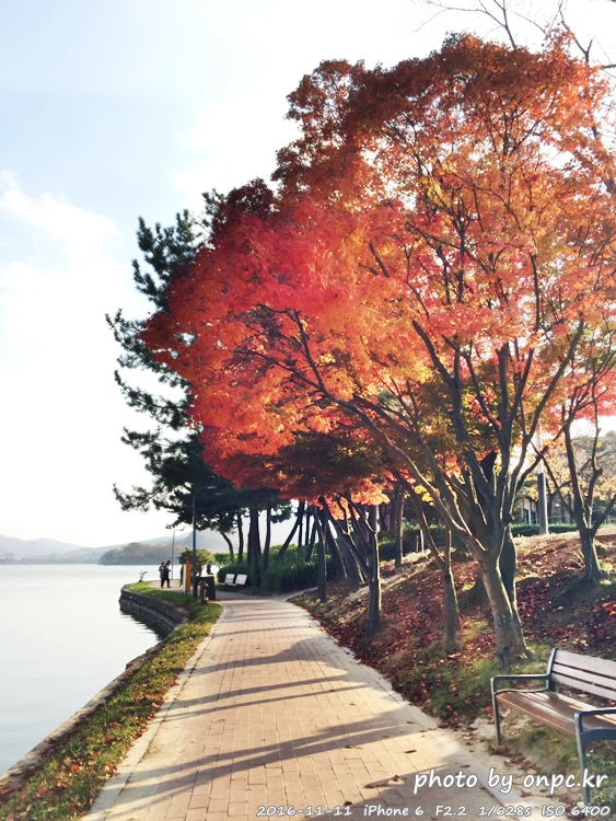 경주나들이 보문호 산책길