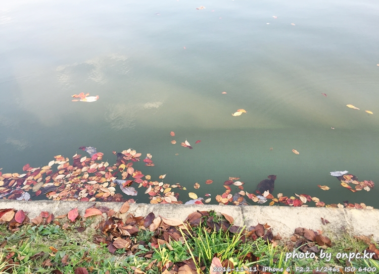 경주나들이 보문호 산책길