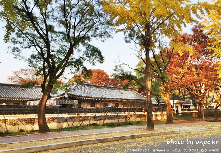 경주나들이 보문호 산책길 가을단풍한옥