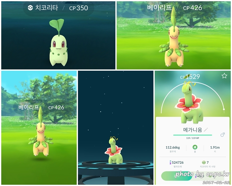 포켓몬고(GO) 2세대 추가 포켓몬과 업데이트 둘러보기 - 2세대 포켓몬 등장으로 포켓몬 둥지가 업데이트 되었어요!! 포켓몬고(GO) 2세대 추가 포켓몬과 업데이트 둘러보기