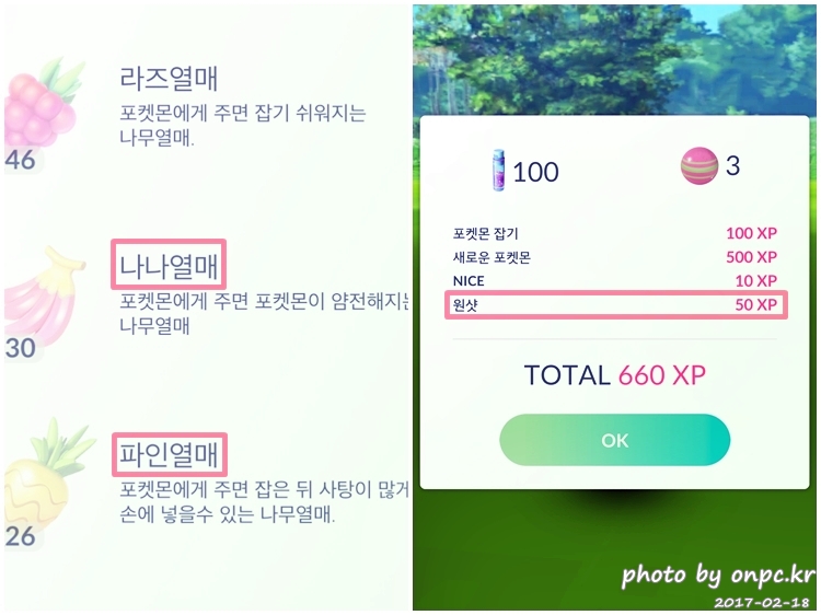 포켓몬고(GO) 2세대 추가 포켓몬과 업데이트 둘러보기 - 2세대 포켓몬 등장으로 포켓몬 둥지가 업데이트 되었어요!! 포켓몬고(GO) 2세대 추가 포켓몬과 업데이트 둘러보기