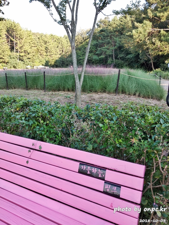 핑크 뮬리를 찾아서 - 장소: 울산대공원 동문 옥외공연장 상단 / 일시 : 2018. 10. 02(화) ~10. 28(일)까지. 핑크 뮬리를 찾아서