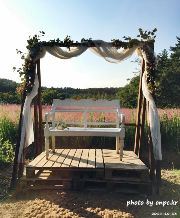 핑크 뮬리를 찾아서 - 장소: 울산대공원 동문 옥외공연장 상단 / 일시 : 2018. 10. 02(화) ~10. 28(일)까지. 핑크 뮬리를 찾아서