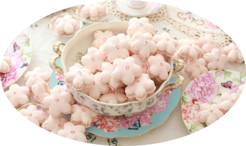 울산수제마카롱맛집 벚꽃마카롱으로 유명한 감프롱