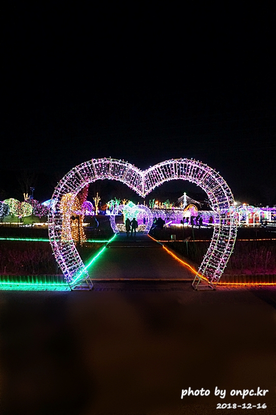[울산대공원]빛 축제에서 빛과 사랑에 빠져보세요