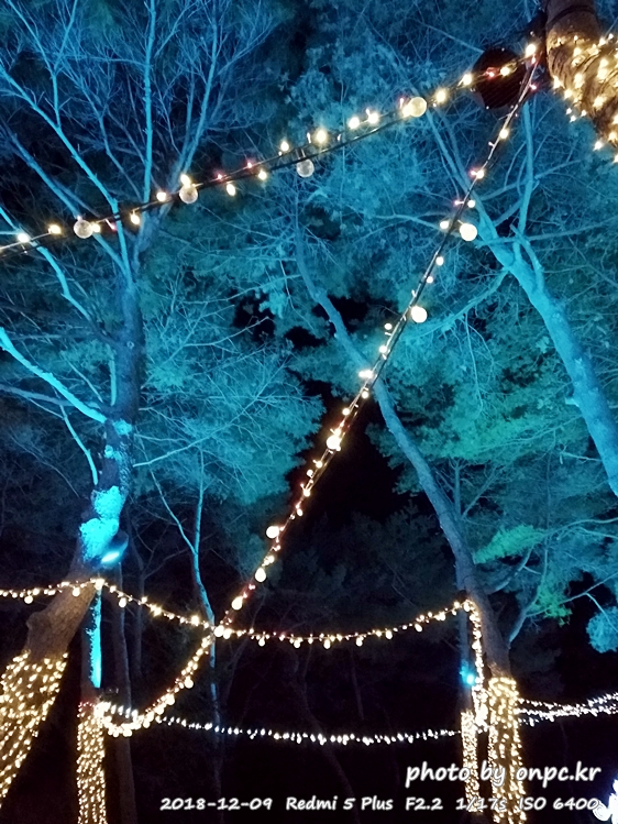 [울산대공원]빛 축제에서 빛과 사랑에 빠져보세요