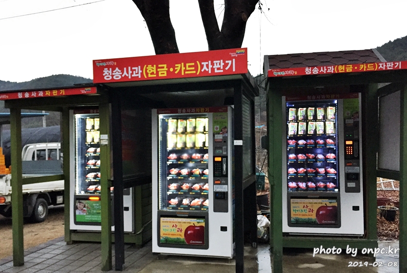 주왕산 청송사과 자판기