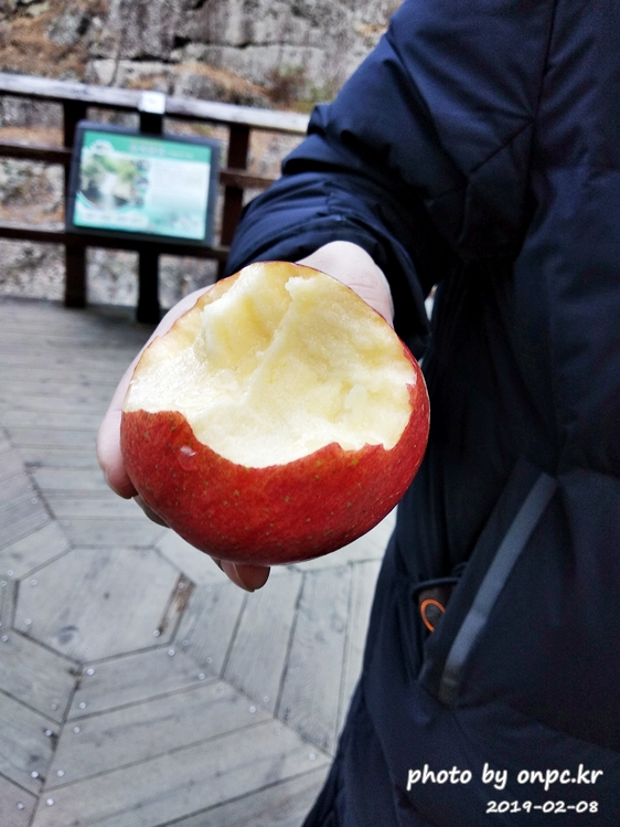 주왕산 용연폭포 청송사과