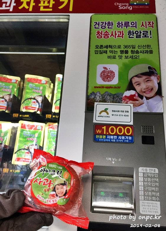 주왕산 청송사과 자판기