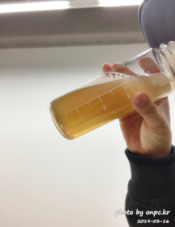 코스트코 건강 발효음료 콤부차