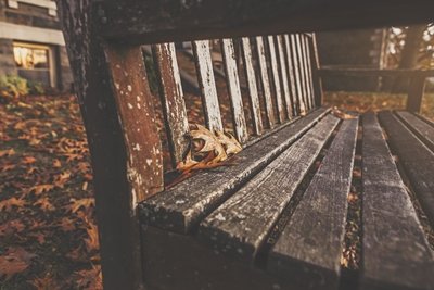 코스트코 라이프타임 컨버터블 그레이 벤치 구입사용기