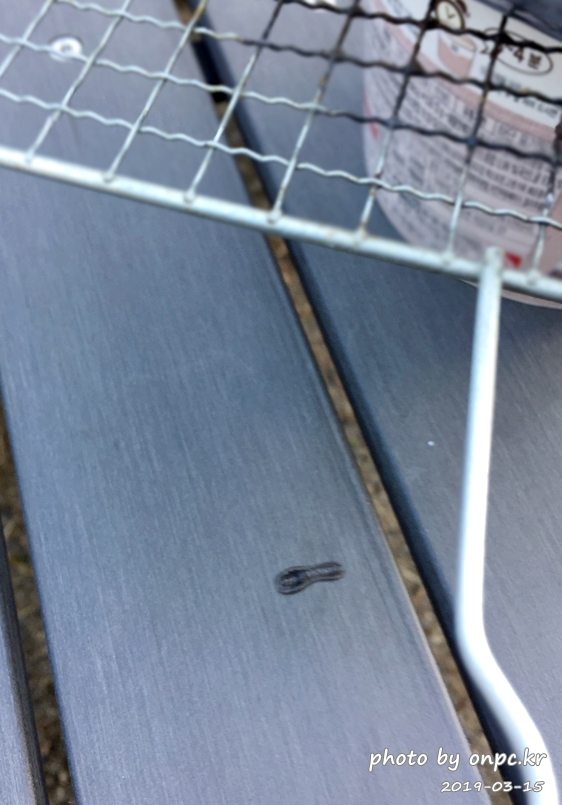 코스트코 라이프타임 컨버터블 그레이 벤치 구입사용기