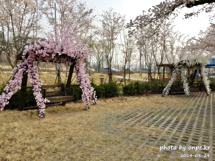 작천정 벚꽃축제