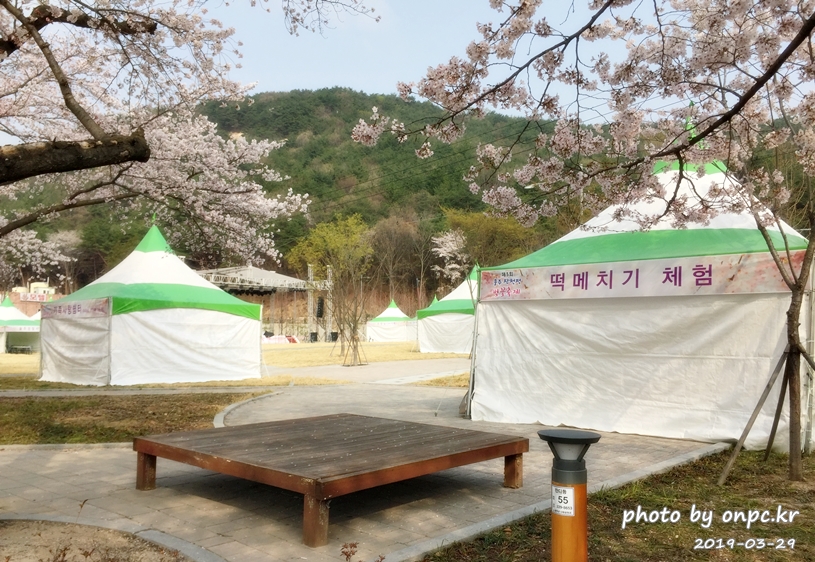 작천정 벚꽃축제
