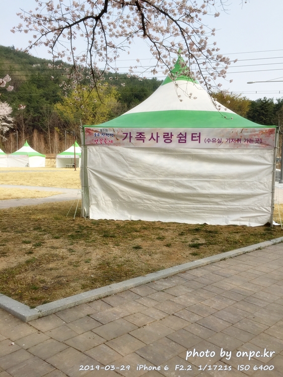 작천정 벚꽃축제