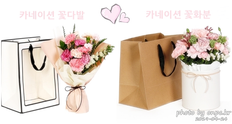 [코스트코 ]5월 감사의 달. 어버이날, 소중한 사람을 위한 선물 코스트코에서 준비해보세요!